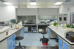 黑龍江食品分子生物檢驗科實驗室裝飾要求